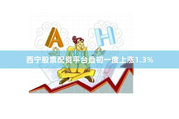 西宁股票配资平台盘初一度上涨1.3%