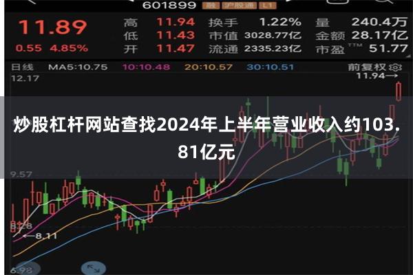 炒股杠杆网站查找2024年上半年营业收入约103.81亿元