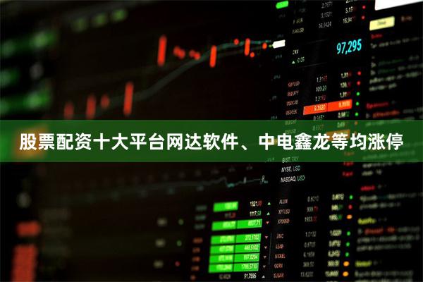 股票配资十大平台网达软件、中电鑫龙等均涨停